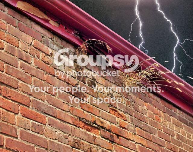 lightninggrassinwall_Vga.jpg