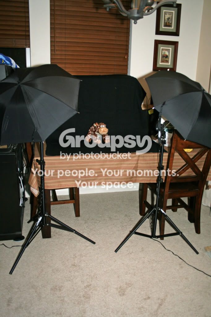 flashset018.jpg