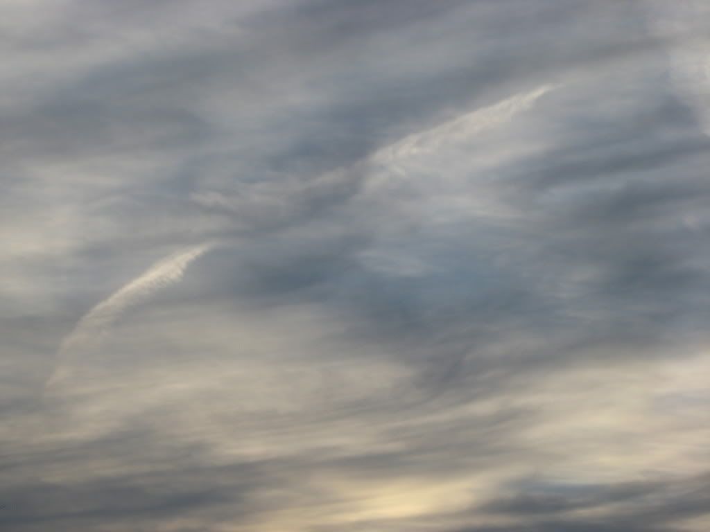 IMG_0113.jpg