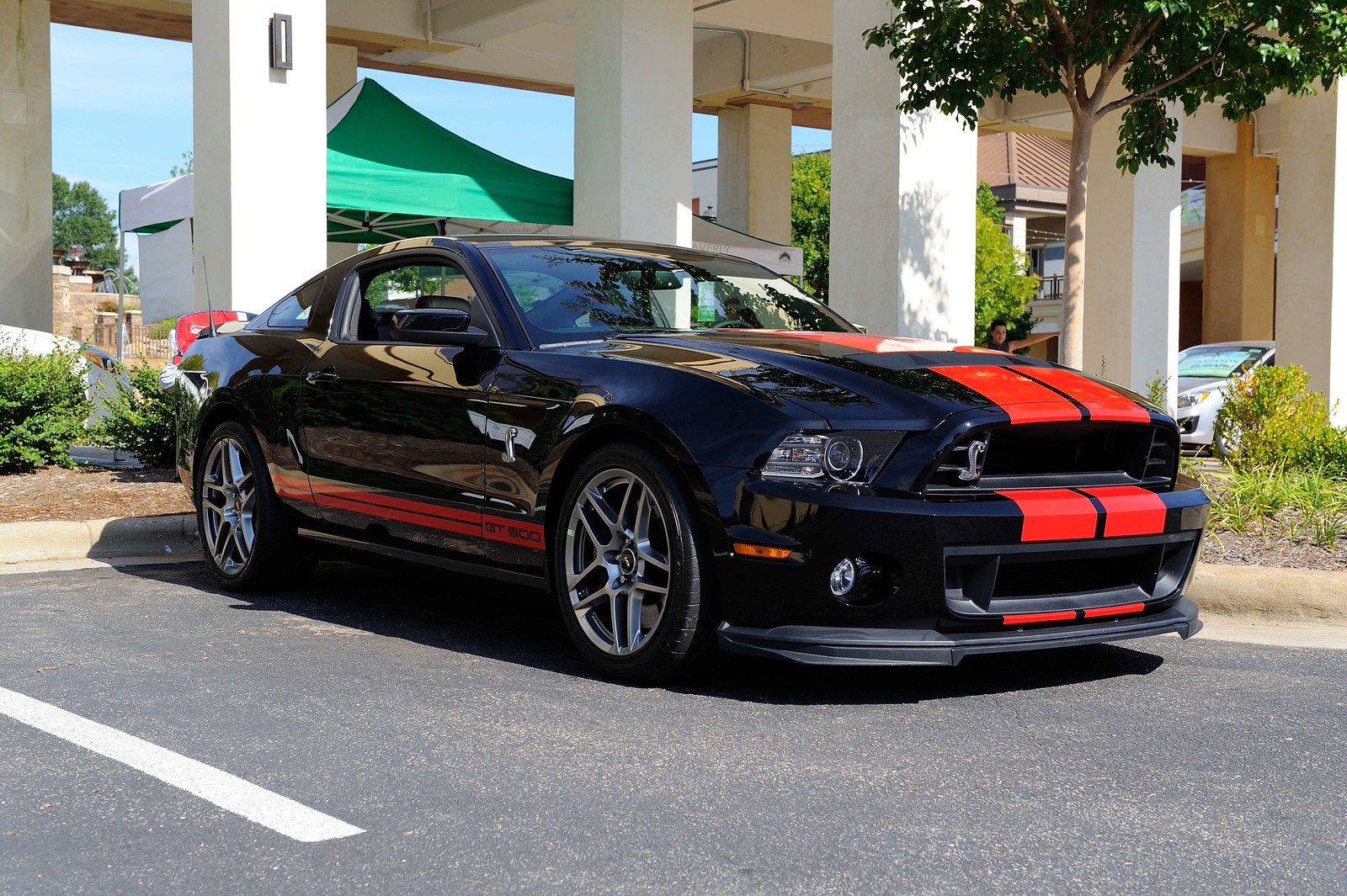 DSC_00269-X3.jpg