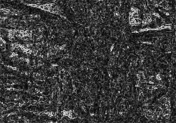 IMG_0037-editforunedit.jpg