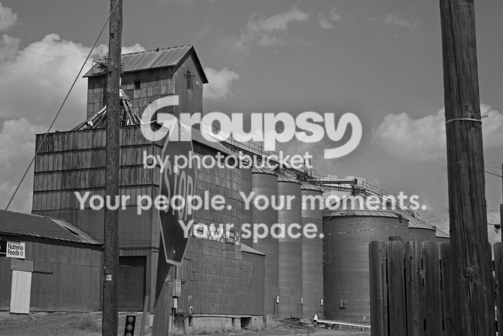 7-2-15%20guernsey-BW_zpskqkvb29t.jpg