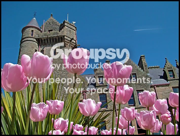 Flowers1.jpg