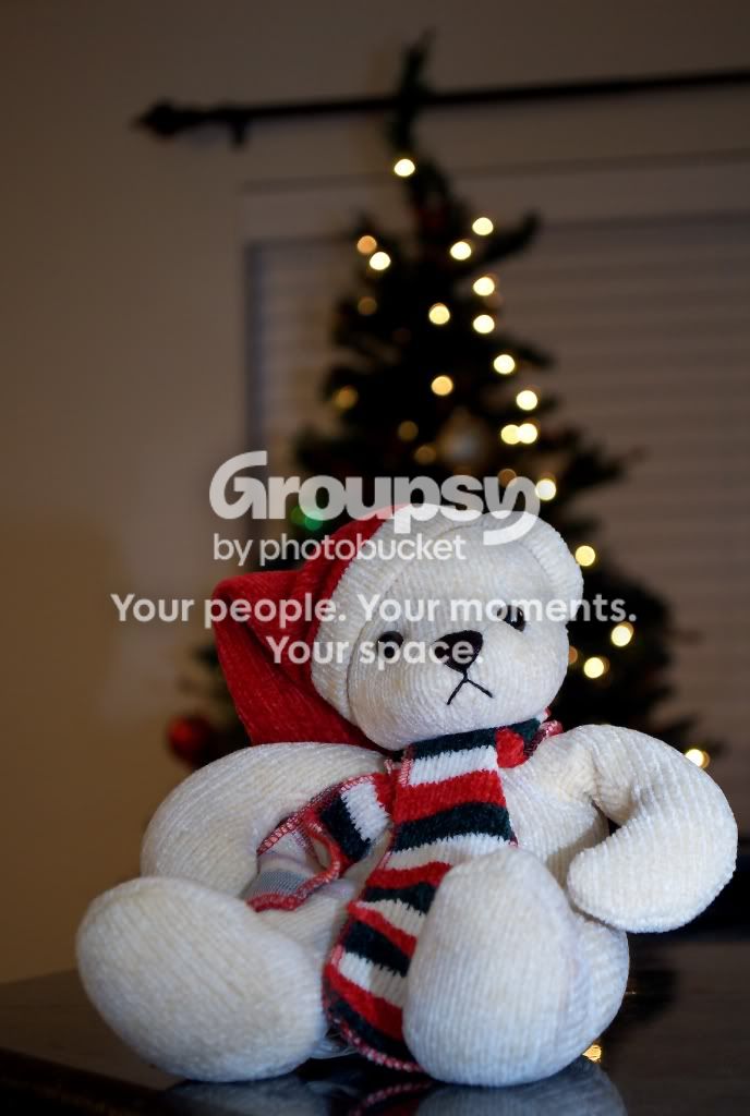 christmasbear.jpg
