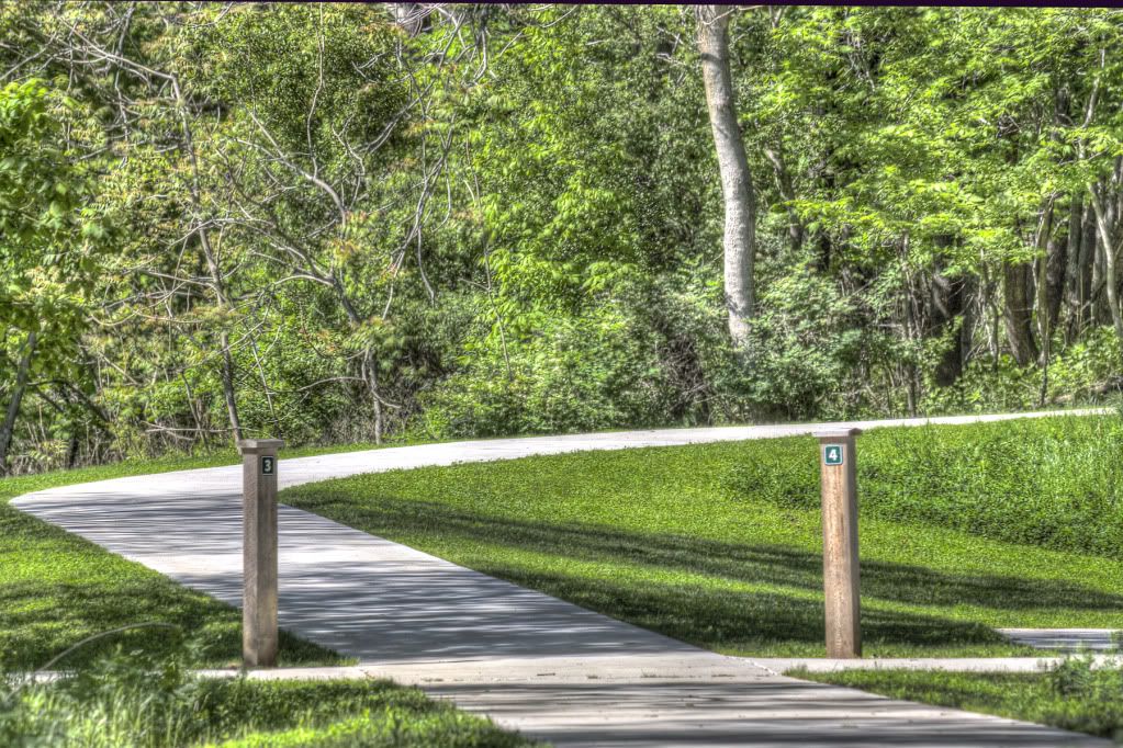 trail.jpg