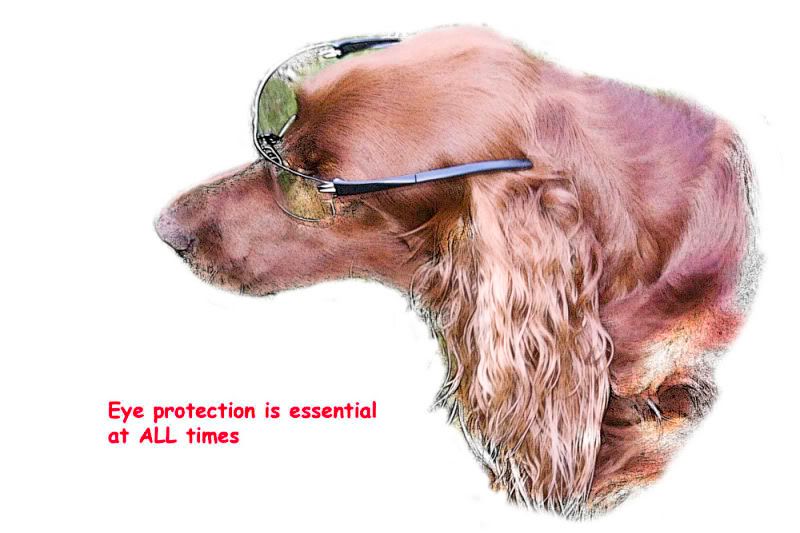 Eyeprotectionweb.jpg