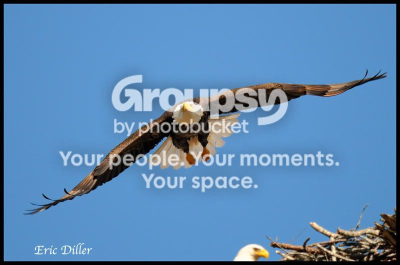 PIC_9951copy.jpg