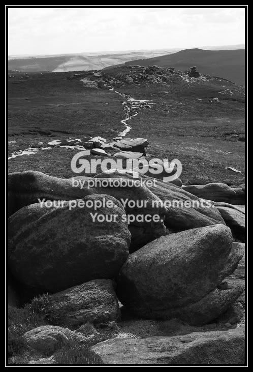 bwlandscape3.jpg