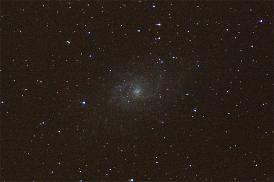 M33_2x2Bin_20091119.jpg