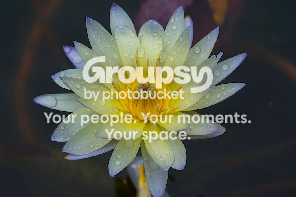 botanic21.jpg