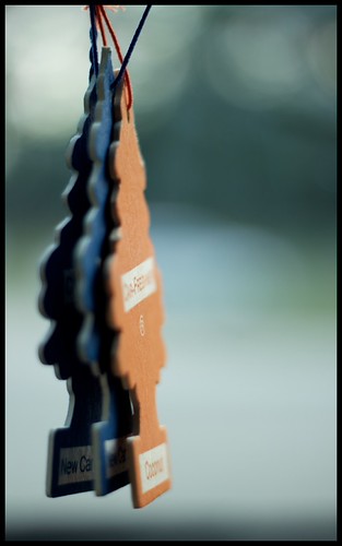 5875415589_fc4a98673a.jpg