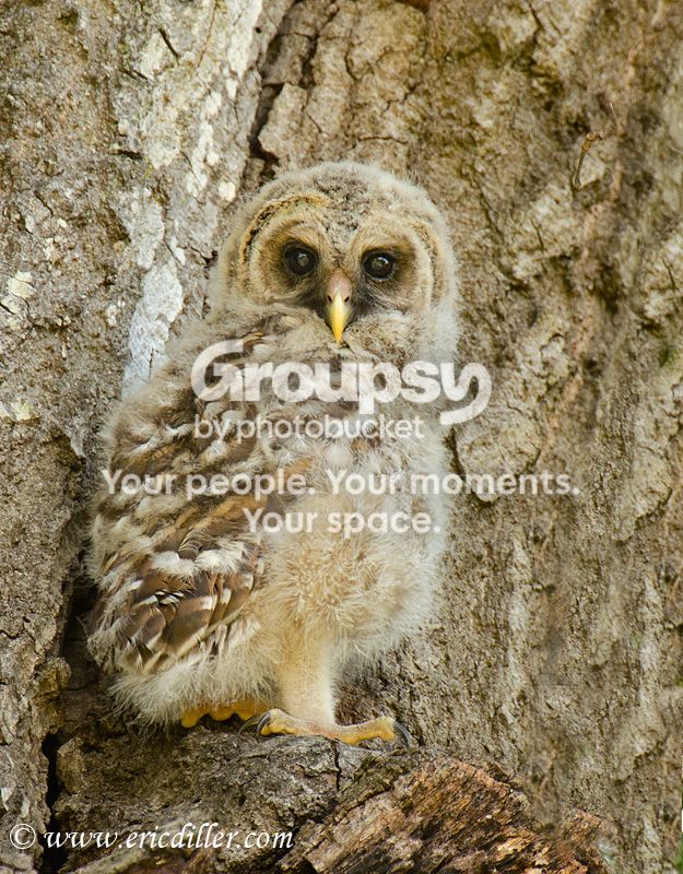 _ECD4026-copy800.jpg