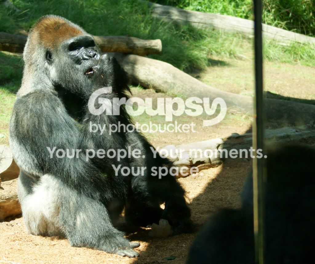 DSC01217c.jpg