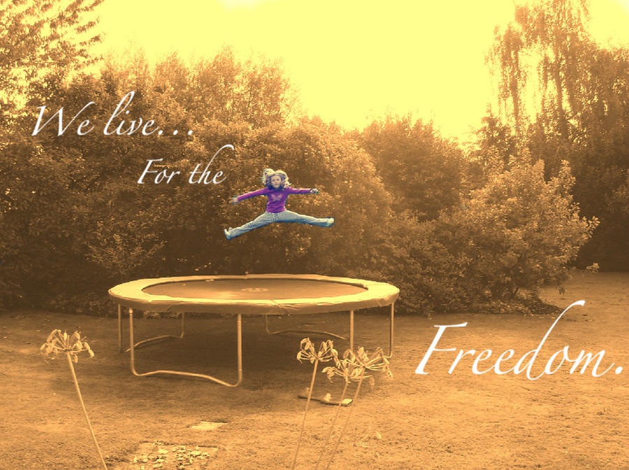 for_the_freedom_by_nunak-d3hma6g.jpg