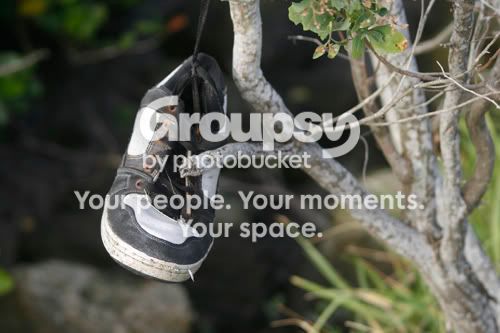 shoesintree.jpg