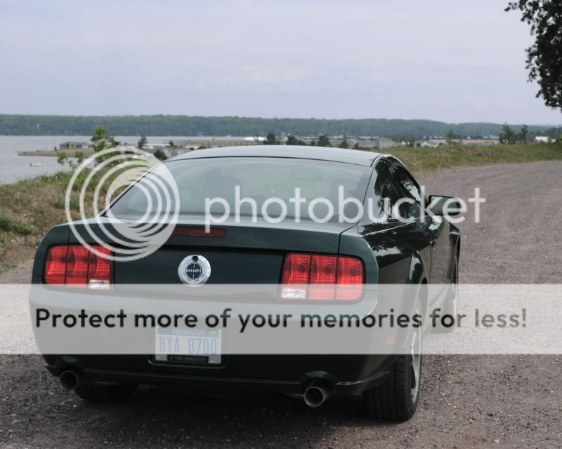 Stang.jpg