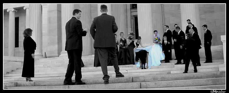 wedding.jpg