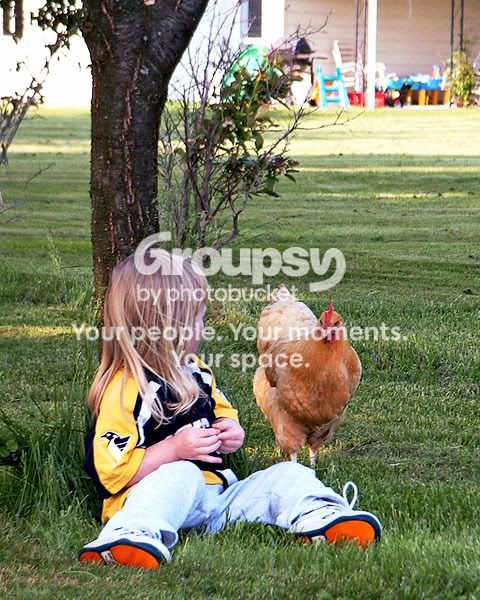 20030528chicken.jpg