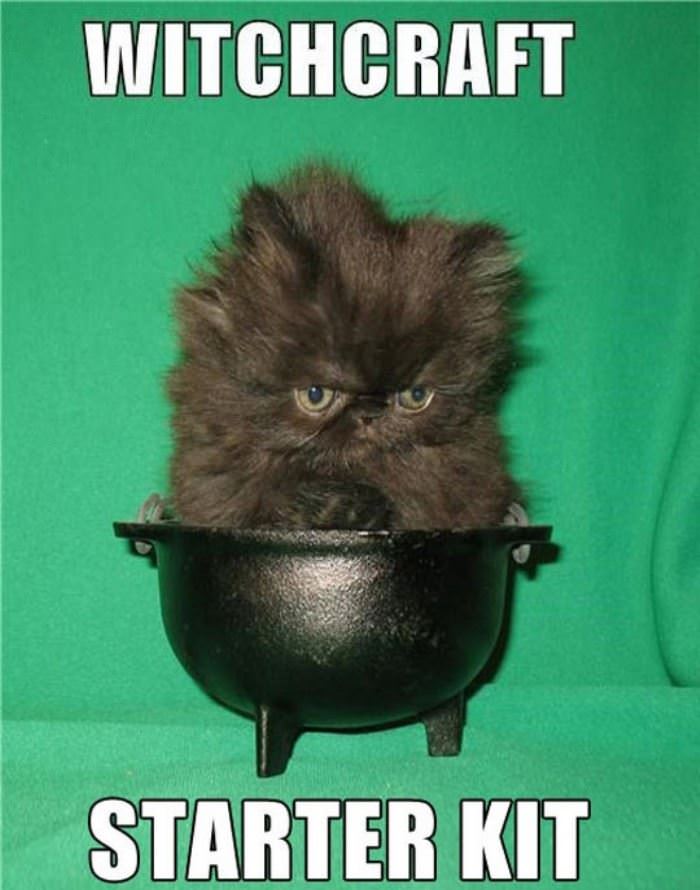 witchcraft-starter-kit.jpg