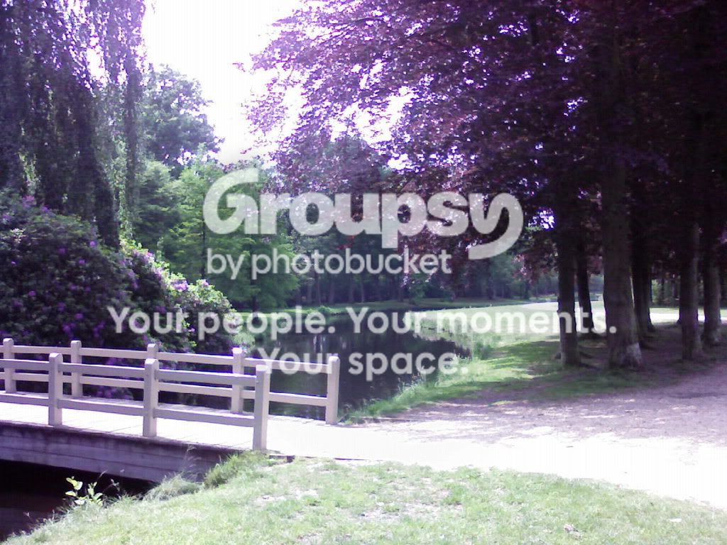 SP_A0230.jpg