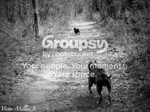 Picture439-1-1.jpg