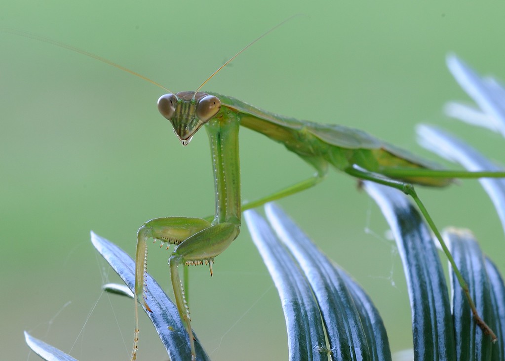 DSC_00025-XL.jpg