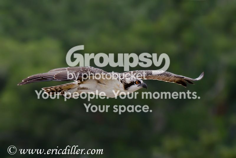 _ECD0834-copy800.jpg