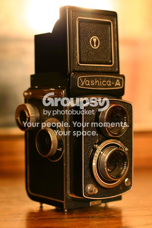 yashica.jpg