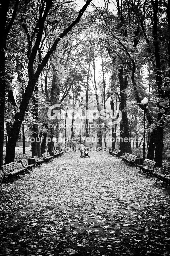 DSC_0029v7.jpg