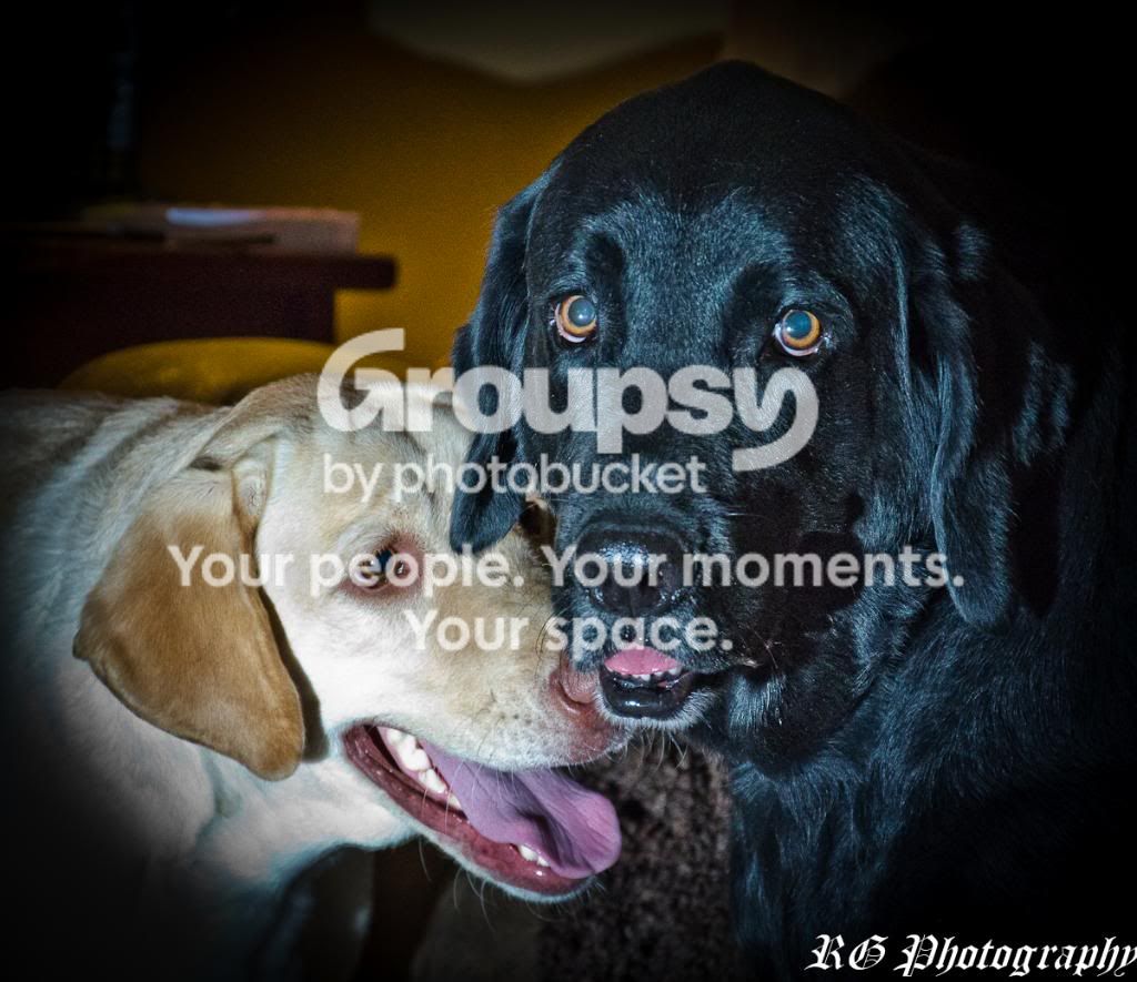 DSC_2401-1.jpg