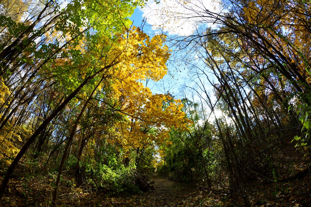 ott-park_23.jpg