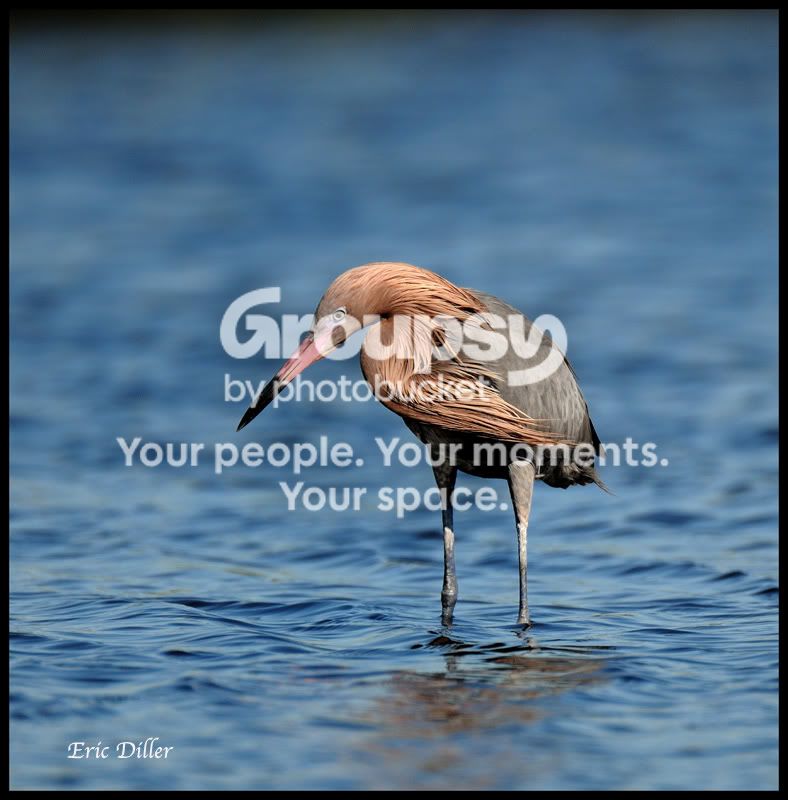 PIC_7319copy.jpg