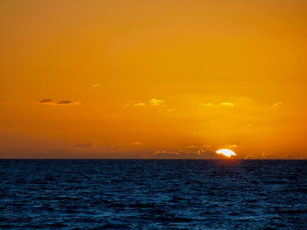 294-HDR.jpg