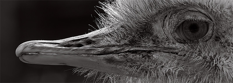 6254727903_6b02e074c5_b.jpg
