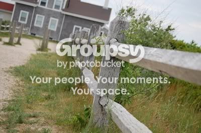 myspace1.jpg