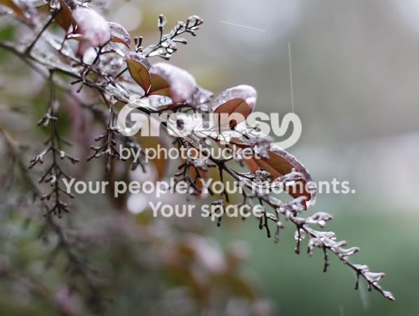 ice_2125.jpg