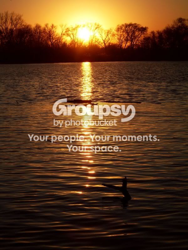 OxbowParkSunset-1.jpg