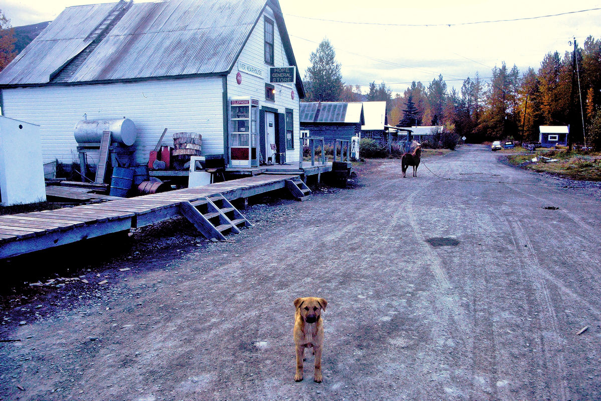 PICT0695a.jpg