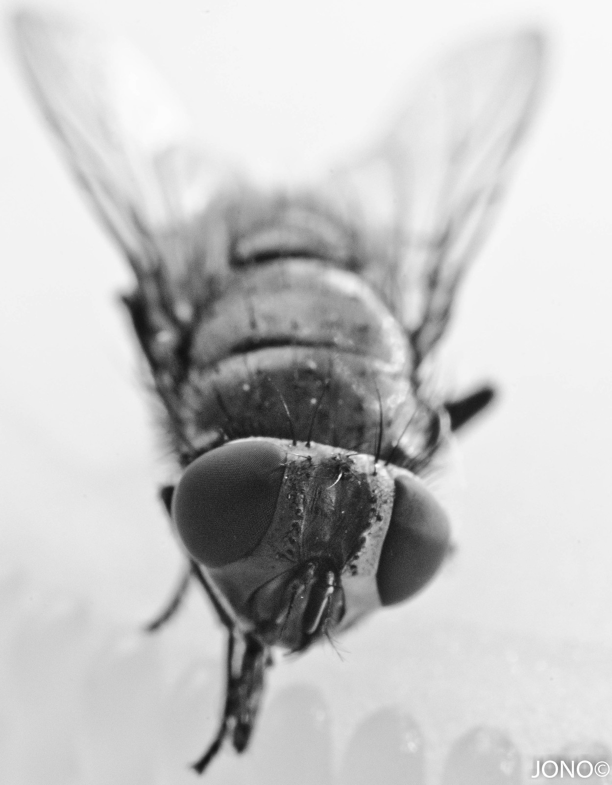 9401997937_8a990aee3c_h.jpg