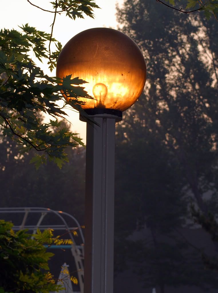 Lamp.jpg