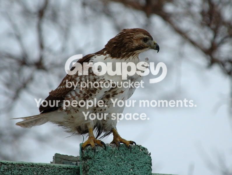 DSC_22610156websize.jpg