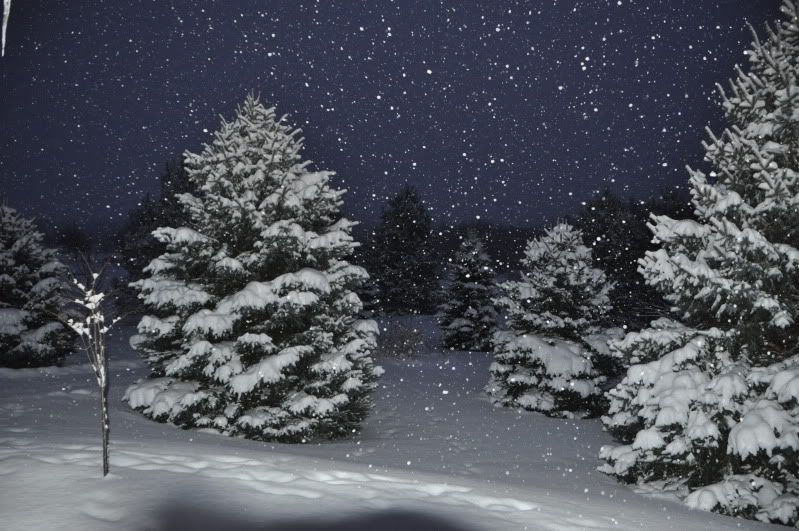 SNOW009.jpg