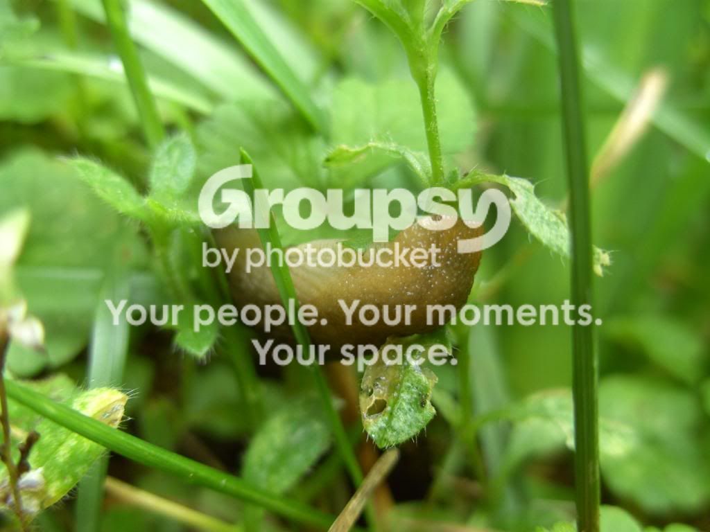 July2009704.jpg