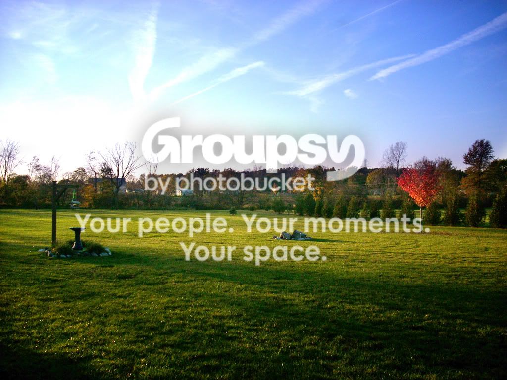 backyardbright.jpg
