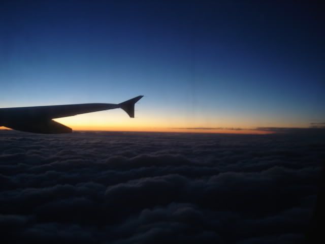 DSC00709.jpg