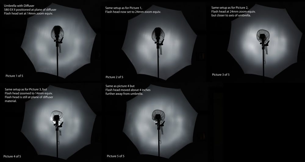 Umbrella2.jpg