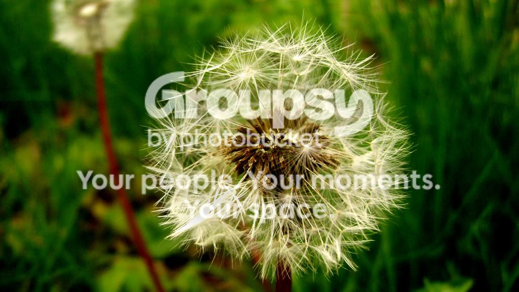 DSC02658.jpg