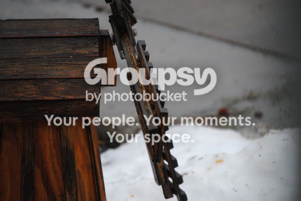 photogaphy015.jpg