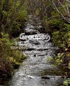 newcreek1.jpg