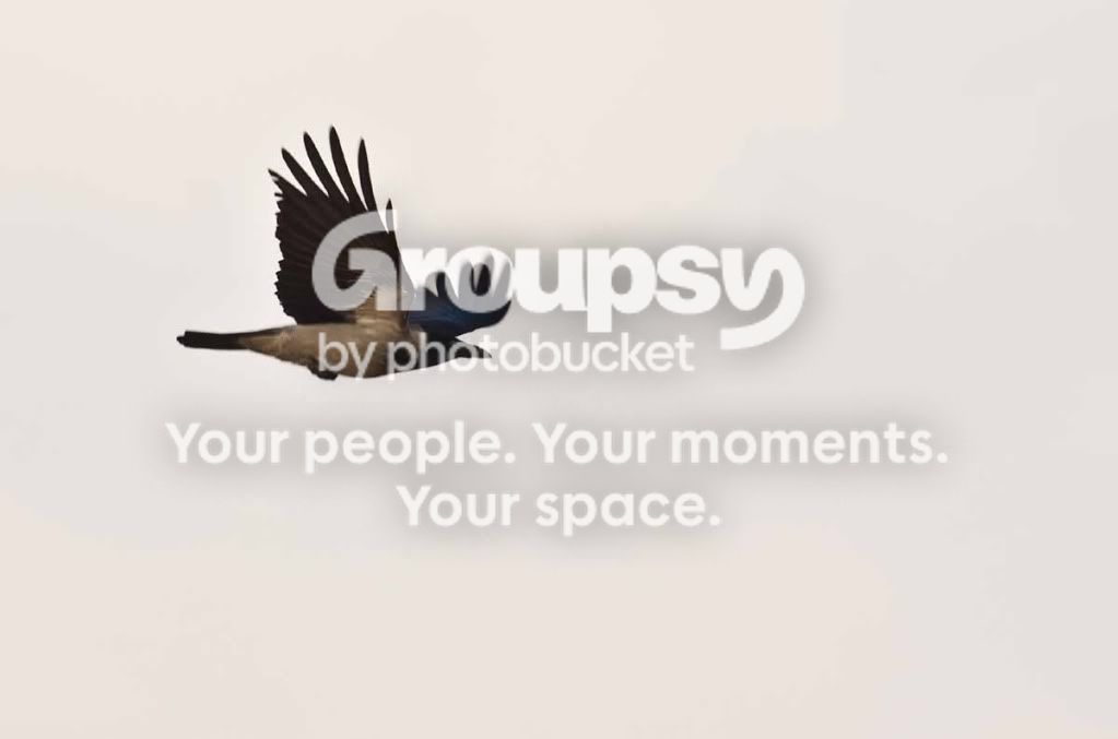 Birdinflight.jpg